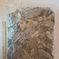 A sealed plastic bag containing I Heart Bugs’ Tropical Leaf Litter Mix—featuring a blend of organic leaves in varying shades of brown and green—rests on a white surface. A wooden ruler next to the bag indicates its size, showcasing the abundant leafy contents that make it perfect for enhancing blackwater aquariums or bioactive enclosures. *Available as an add-on to live animal purchases.*.