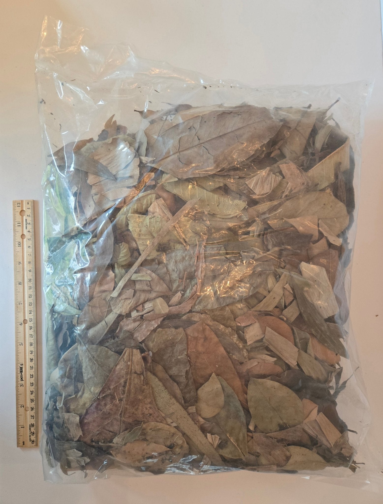 A sealed plastic bag containing I Heart Bugs’ Tropical Leaf Litter Mix—featuring a blend of organic leaves in varying shades of brown and green—rests on a white surface. A wooden ruler next to the bag indicates its size, showcasing the abundant leafy contents that make it perfect for enhancing blackwater aquariums or bioactive enclosures. *Available as an add-on to live animal purchases.*.