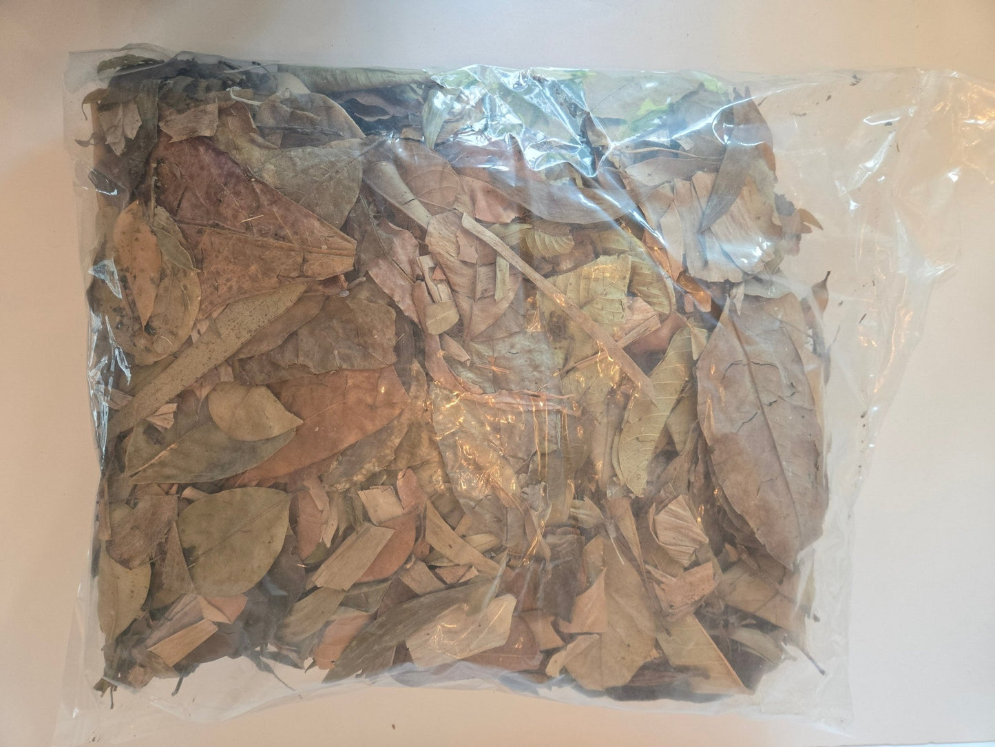 A clear plastic bag of I Heart Bugs Tropical Leaf Litter Mix, containing organic leaves in natural shades of brown, yellow, and green, lies flat on a light-colored surface. The assorted crinkled leaves vary in size and shape, making them ideal as an add-on for live animal purchases for use in bioactive enclosures or blackwater aquariums.