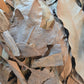 A close-up of I Heart Bugs’ Tropical Leaf Litter Mix – ADD ON TO LIVE ANIMAL PURCHASES shows a pile of assorted dried leaves and bark pieces, perfect for creating organic leaf litter in bioactive enclosures. The brown and tan foliage displays varied shapes and textures, with crisp edges and wrinkled surfaces layered together. The lighting accentuates the delicate veins and casting subtle shadows among the mix.