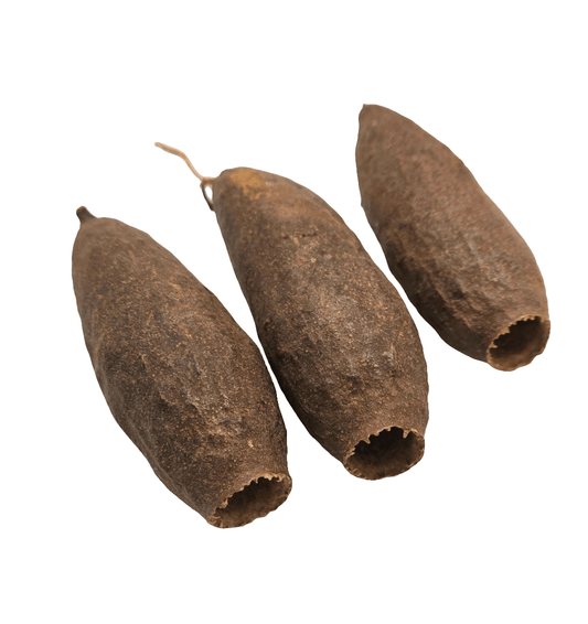 Three dried Trumpet Seed Pods by I Heart Bugs with rough, brown surfaces and hollow, jagged openings are arranged on a white background—perfect for aquarium decor or bioactive terrariums.
