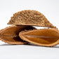Urchin Pod/Bolsa Pastor Seed Pod - IHEARTBUGS, INC.