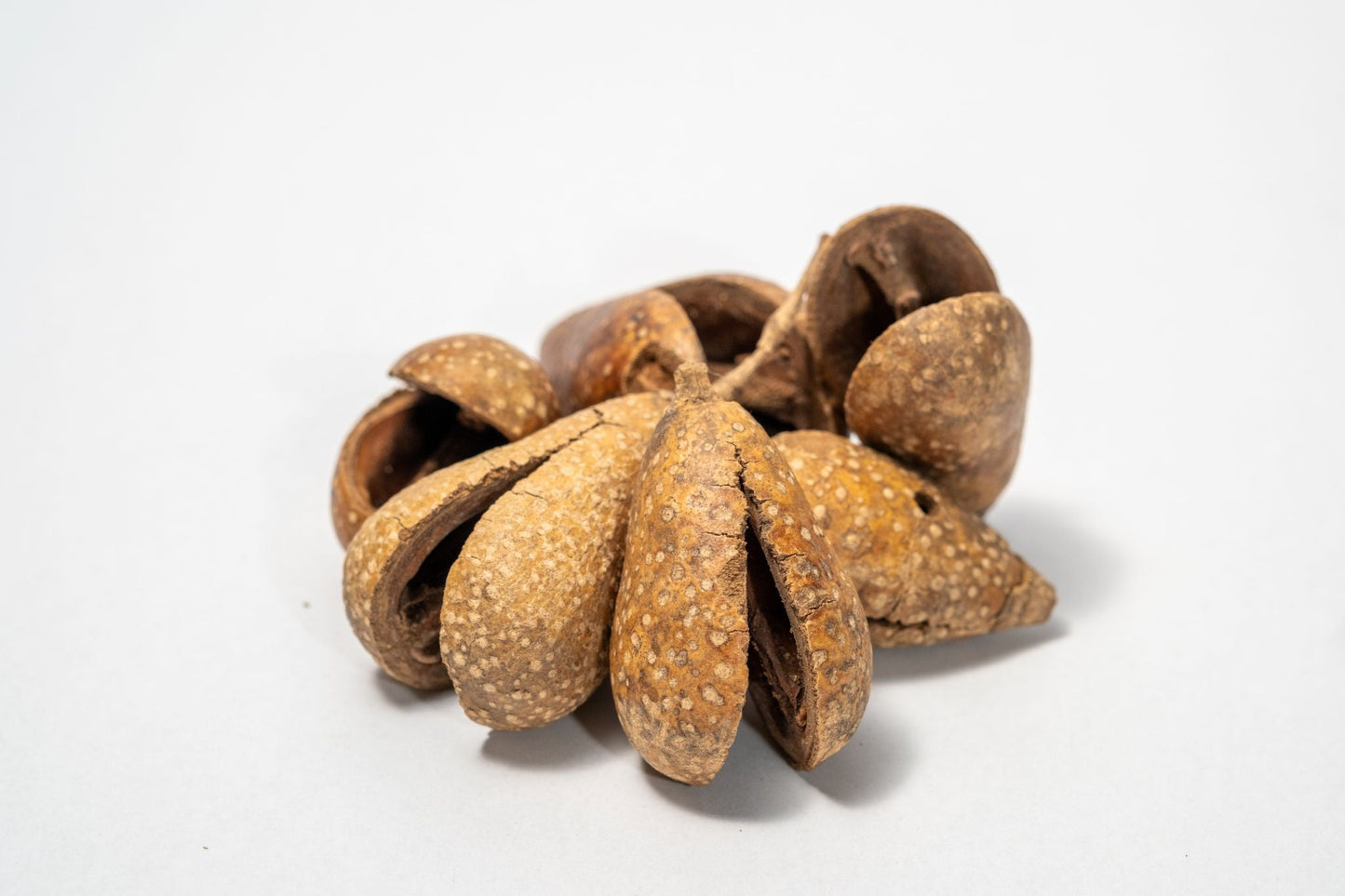 Whole Pear Pods - IHEARTBUGS, INC.