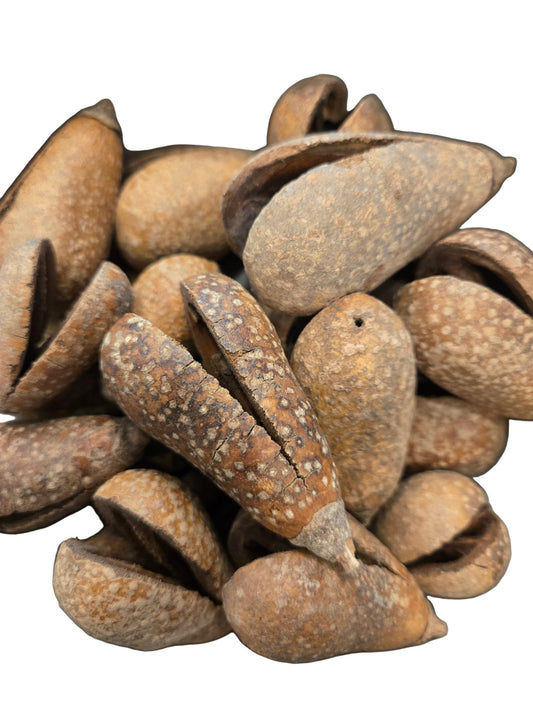 Whole Pear Pods - IHEARTBUGS, INC.