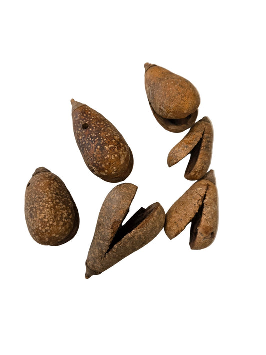 Whole Pear Pods - IHEARTBUGS, INC.