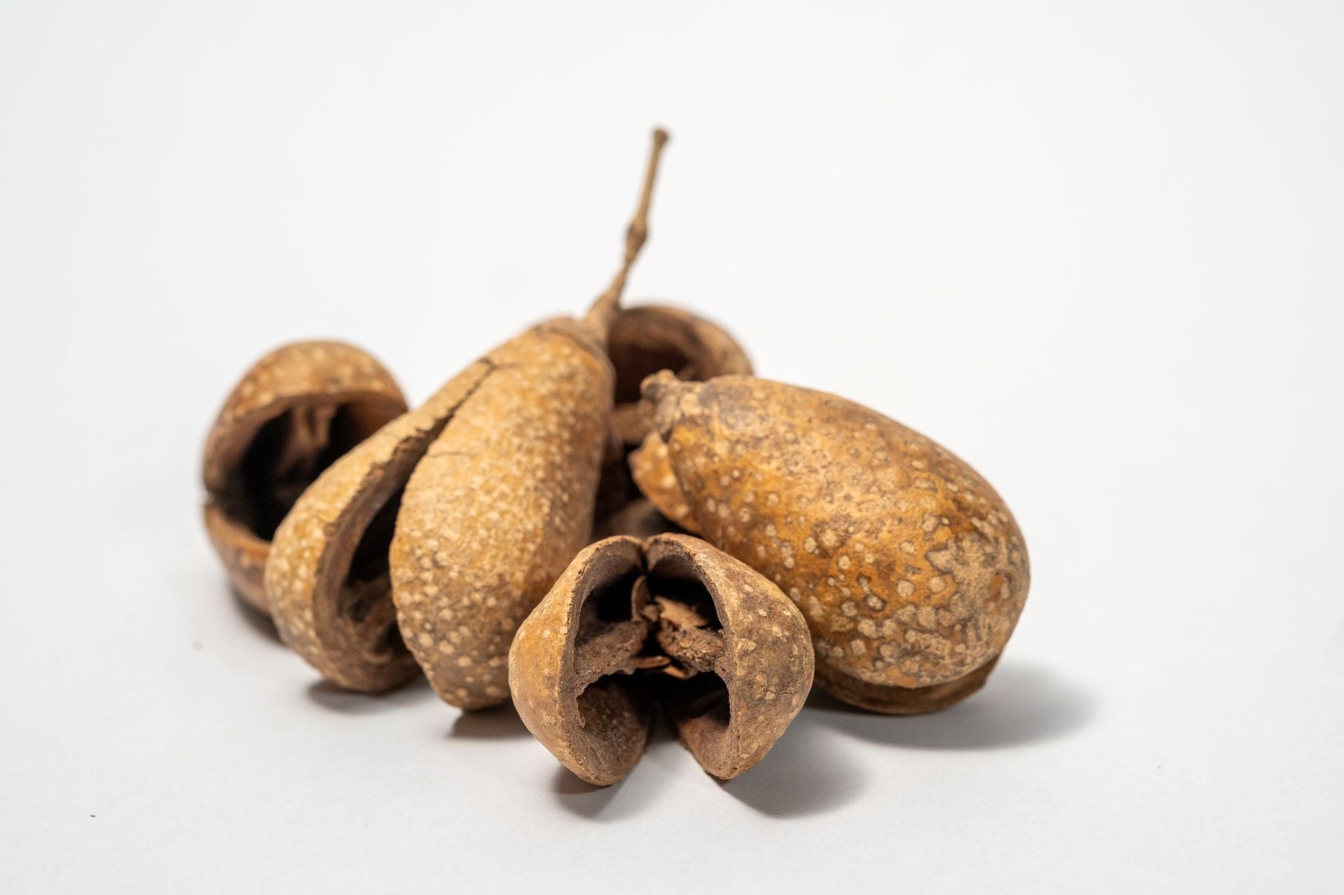 Whole Pear Pods - IHEARTBUGS, INC.