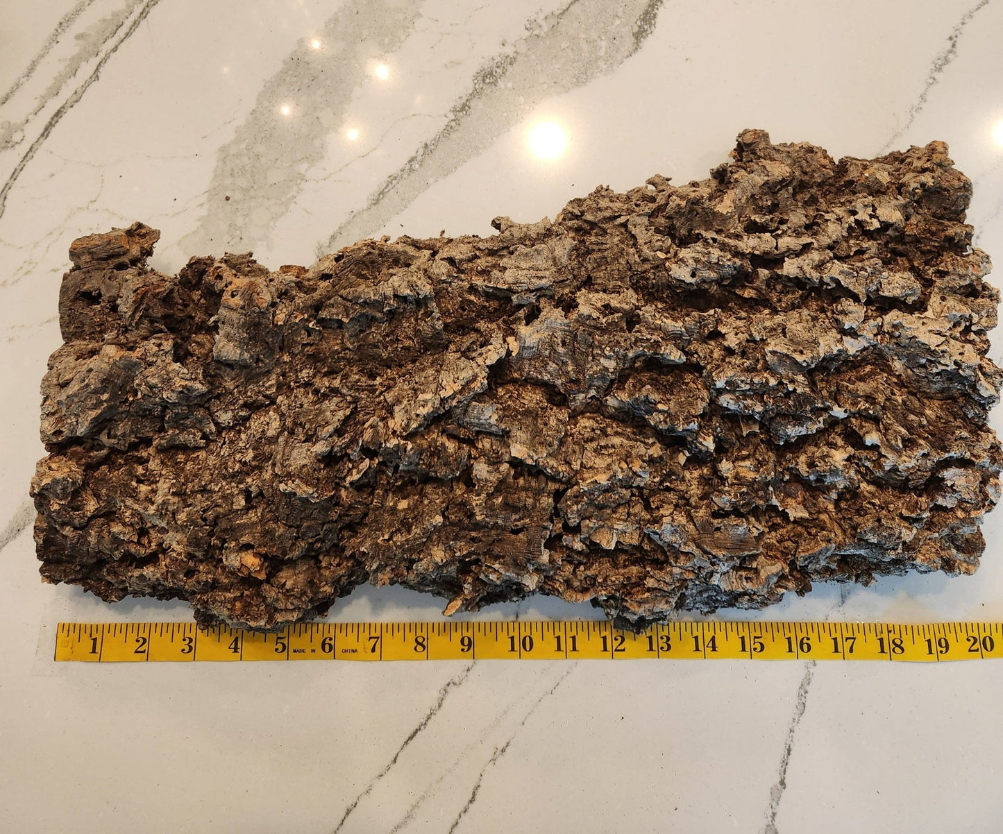 WYSIWYG Large Heavy Cork Bark #1 - IHEARTBUGS, INC.