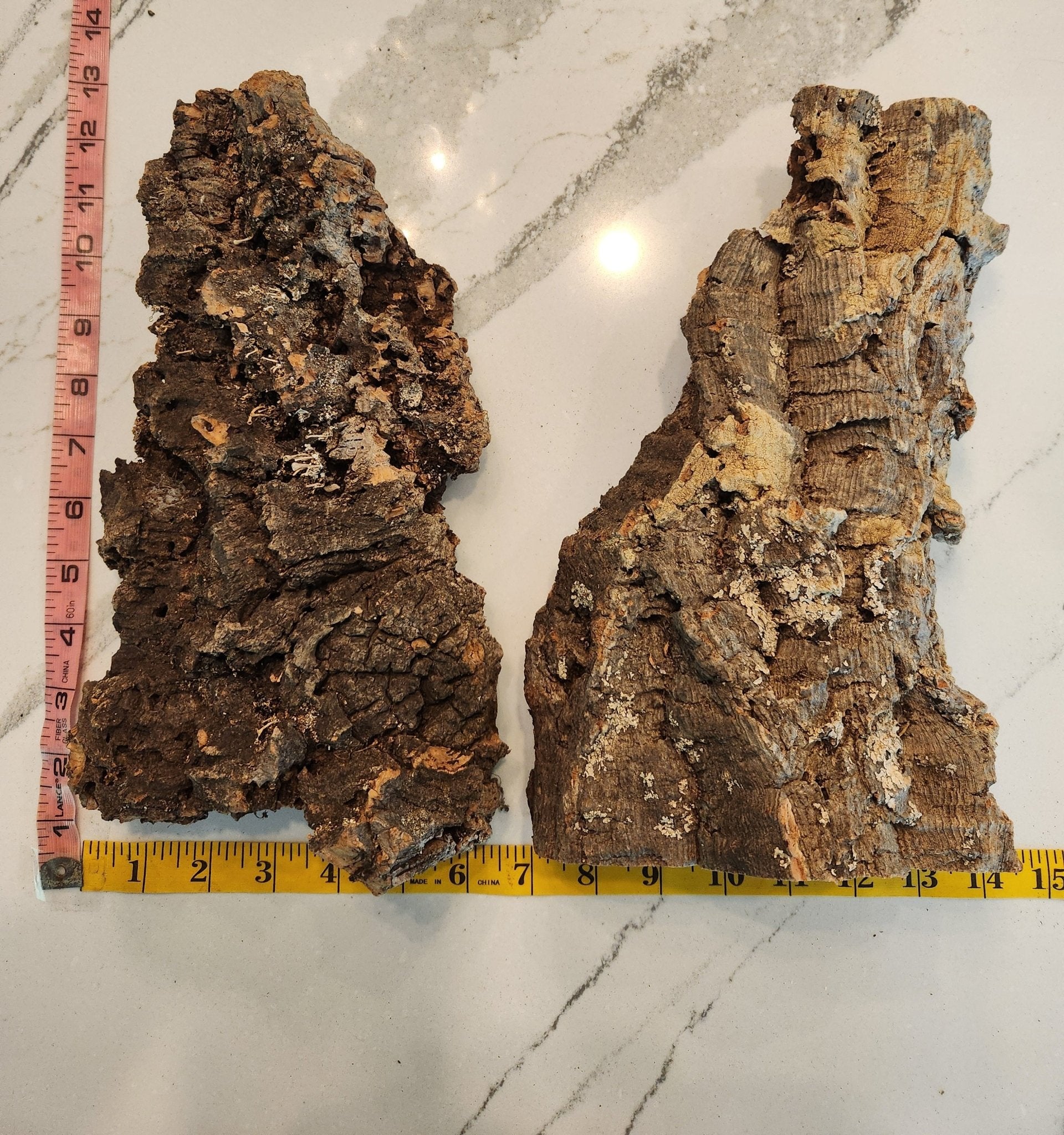 WYSIWYG Medium Cork Bark #4 - IHEARTBUGS, INC.