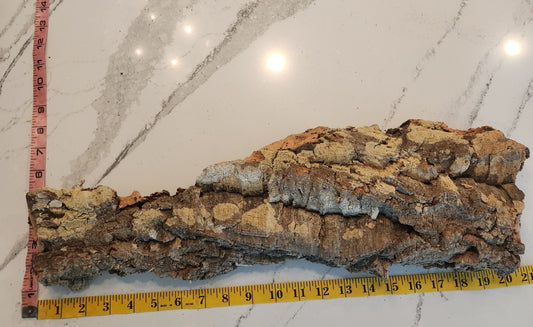 Thick Medium Cork Bark #8 - IHEARTBUGS, INC.