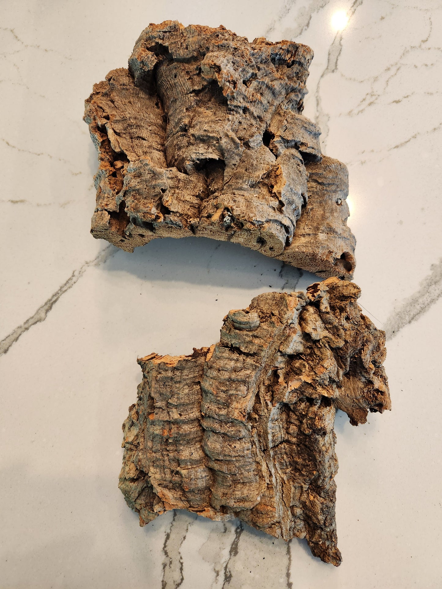 Cork Bark Flats - 3 Small pieces